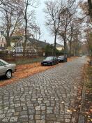 Foto: Keine Laubbeseitigung 